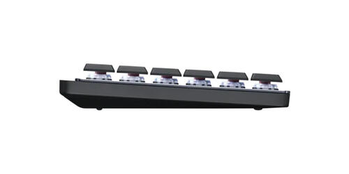 MX Mechanical and Minimalist MX Mechanical Mini | 2021-2022